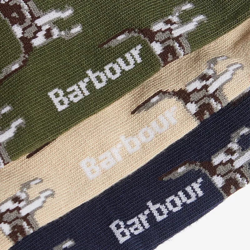 Barbour Pointer Dog Socks Gift Box Forest Mist-1